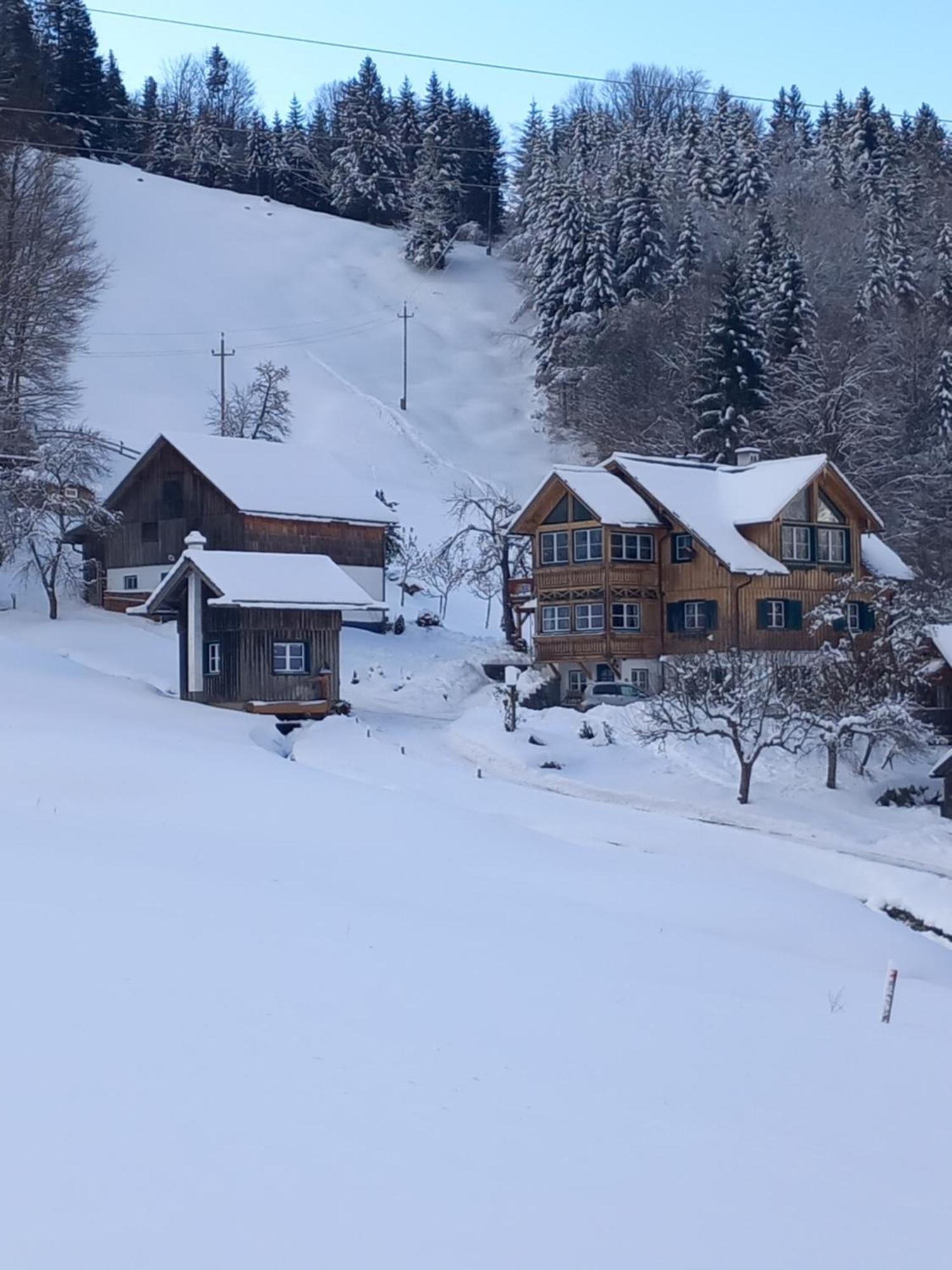 Appartement S'Rastl Direkt Mit Bergpanorama à Grundlsee Extérieur photo